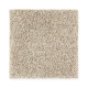 Exquisite Style - Weathered Exquisite Style - Weathered
