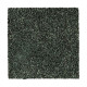 Distinct Beauty I - Evergreen Distinct Beauty I - Evergreen