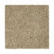 Distinct Beauty I - Beechnut Distinct Beauty I - Beechnut