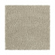 Distinct Beauty II - Parchment Distinct Beauty II - Parchment