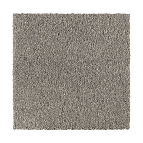 Distinct Beauty II - Island Taupe