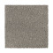 Distinct Beauty II - Island Taupe