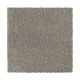 Distinct Beauty II - Island Taupe Distinct Beauty II - Island Taupe
