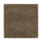 Distinct Beauty II - Mohair