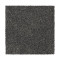 Distinct Beauty II - Keystone Grey