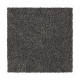 Distinct Beauty II - Keystone Grey Distinct Beauty II - Keystone Grey