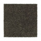 Distinct Beauty III - Evergreen Distinct Beauty III - Evergreen