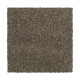 Distinct Beauty III - Native Soil Distinct Beauty III - Native Soil