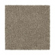 Distinct Beauty III - Beechnut Distinct Beauty III - Beechnut