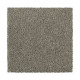 Distinct Beauty III - Meteorite Distinct Beauty III - Meteorite