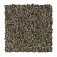 Artistic Allure - Tortoise Artistic Allure - Tortoise