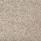 Earthly Details I - Alpine Lace