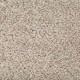 Earthly Details I - Alpine Lace Earthly Details I - Alpine Lace