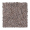 Earthly Details I - Dried Peat