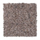 Earthly Details I - Dried Peat Earthly Details I - Dried Peat