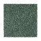 Noteworthy Selection - Garden Topiary