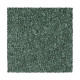 Noteworthy Selection - Garden Topiary