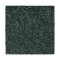 Noteworthy Selection - Romaine