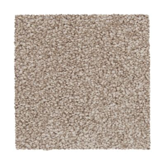 Noteworthy Selection - Mushroom Cap Noteworthy Selection - Mushroom Cap