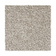 Noteworthy Selection - Walnut Frost Noteworthy Selection - Walnut Frost