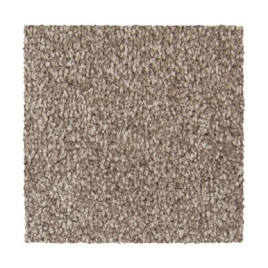 Noteworthy Selection - Woodscape Noteworthy Selection - Woodscape