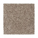 Noteworthy Selection - Woodscape Noteworthy Selection - Woodscape