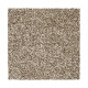 Striking Option - Montego Striking Option - Montego