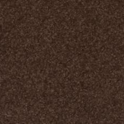 Quality Life - Dark Fudge