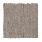 Enduring Idea - Taupe Illusion