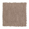 Enduring Idea - Pebblestone
