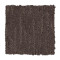 Enduring Idea - Swiss Cocoa