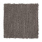 Enduring Idea - Hammered Iron