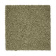 Peaceful Elegance - Alpine Peaceful Elegance - Alpine