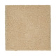 Peaceful Elegance - Chamois Peaceful Elegance - Chamois
