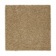 Peaceful Elegance - Fawn Peaceful Elegance - Fawn