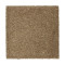 Peaceful Elegance - Linseed