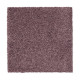 Gentle Approach - Royal Gentle Approach - Royal