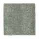 Gentle Approach - Gala Gentle Approach - Gala