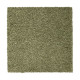 Gentle Approach - Grassy Gentle Approach - Grassy