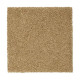 Gentle Approach - Nutria Gentle Approach - Nutria