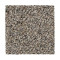 Remarkable Vision - Posh Almond