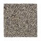 Remarkable Vision - Posh Almond Remarkable Vision - Posh Almond