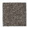 Remarkable Vision - Antebellum Grey