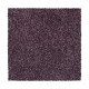 Exceptional Choice - Gladiola Exceptional Choice - Gladiola