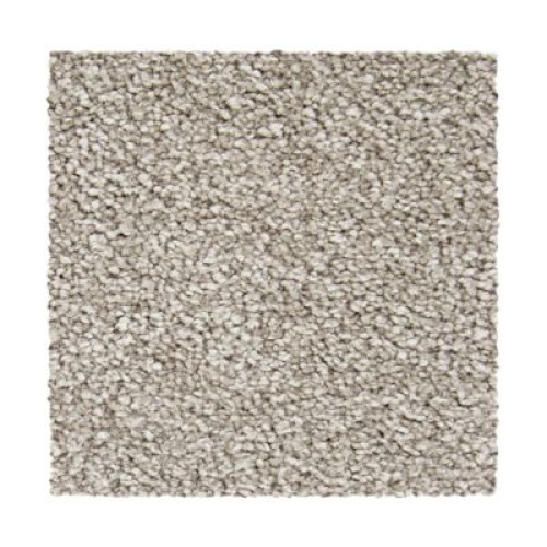 Exceptional Choice - Walnut Frost
