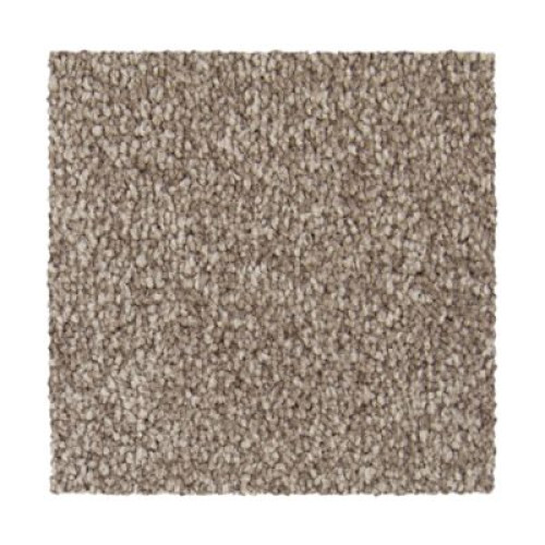 Exceptional Choice - Woodscape