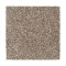 Exceptional Choice - Woodscape
