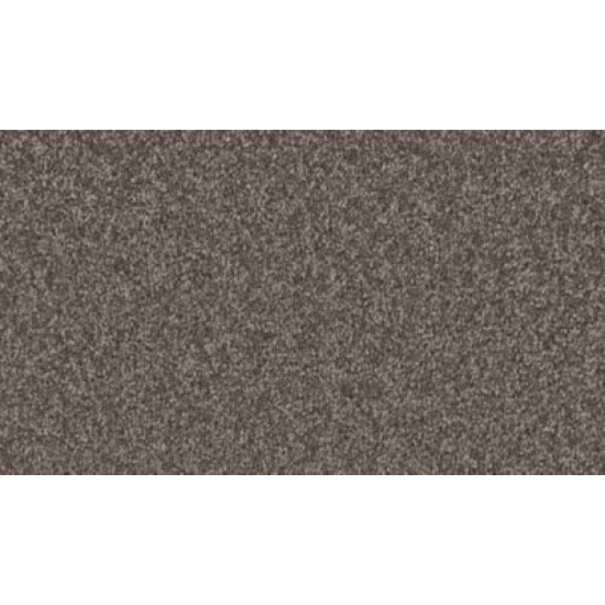 Exceptional Choice - Saddlery Exceptional Choice - Saddlery
