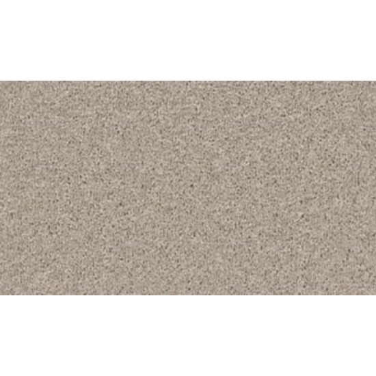 Exceptional Choice - Graphite Exceptional Choice - Graphite