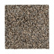 Medalist - Taupe Whisper Medalist - Taupe Whisper